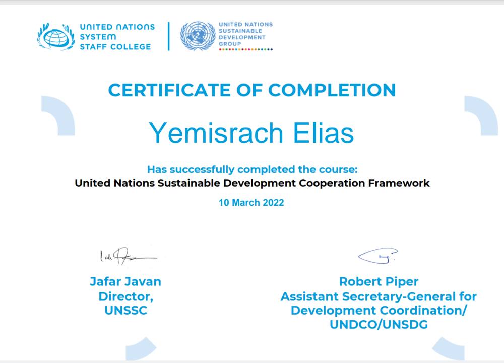 UN Sustainable Development Cooperation Framework certificate